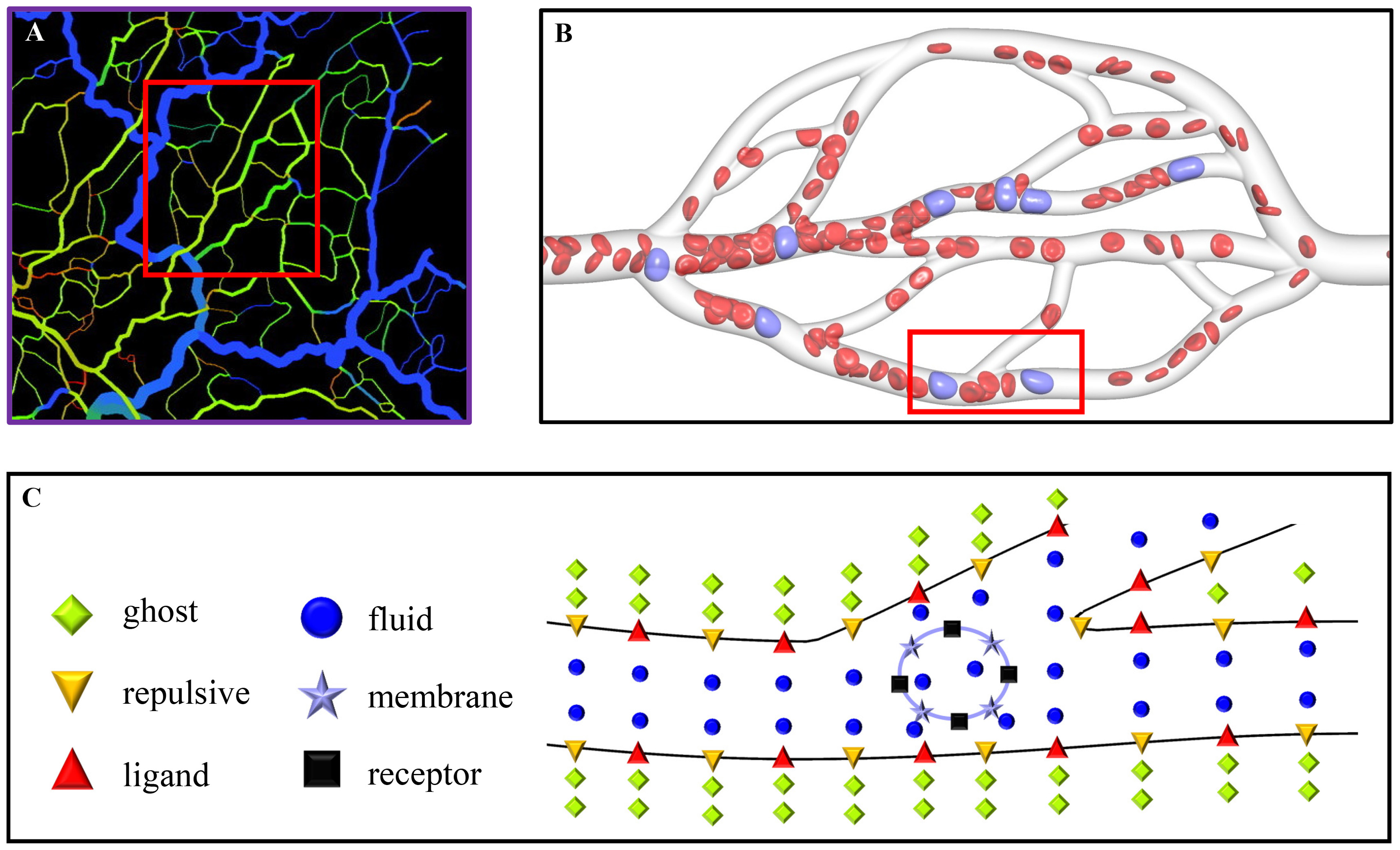 Paper 11 figure